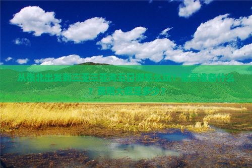 从张北出发到三亚三亚湾五日游怎么玩？需要准备什么？费用大概是多少？