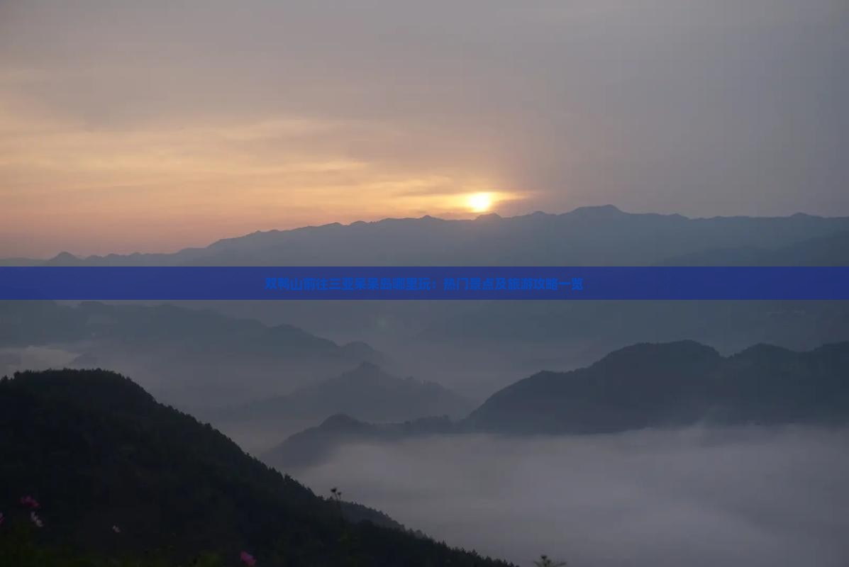 双鸭山前往三亚呆呆岛哪里玩：热门景点及旅游攻略一览