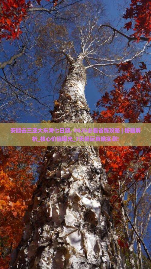 安顺去三亚大东海七日游
