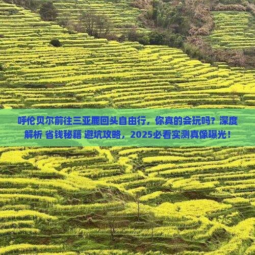 呼伦贝尔前往三亚鹿回头自由行