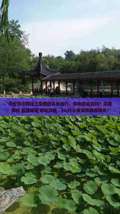 呼伦贝尔前往三亚鹿回头自由行