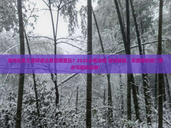 湖州出发三亚呀诺达景区哪里玩
