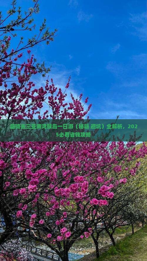 临猗去三亚南湾猴岛一日游
