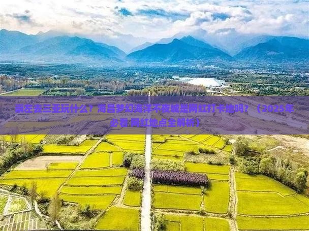 崇左出发三亚海昌梦幻海洋不夜城旅游网红地点