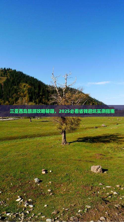 固原前往三亚西岛旅游网红地点 固原前往三亚西岛旅游网红地点