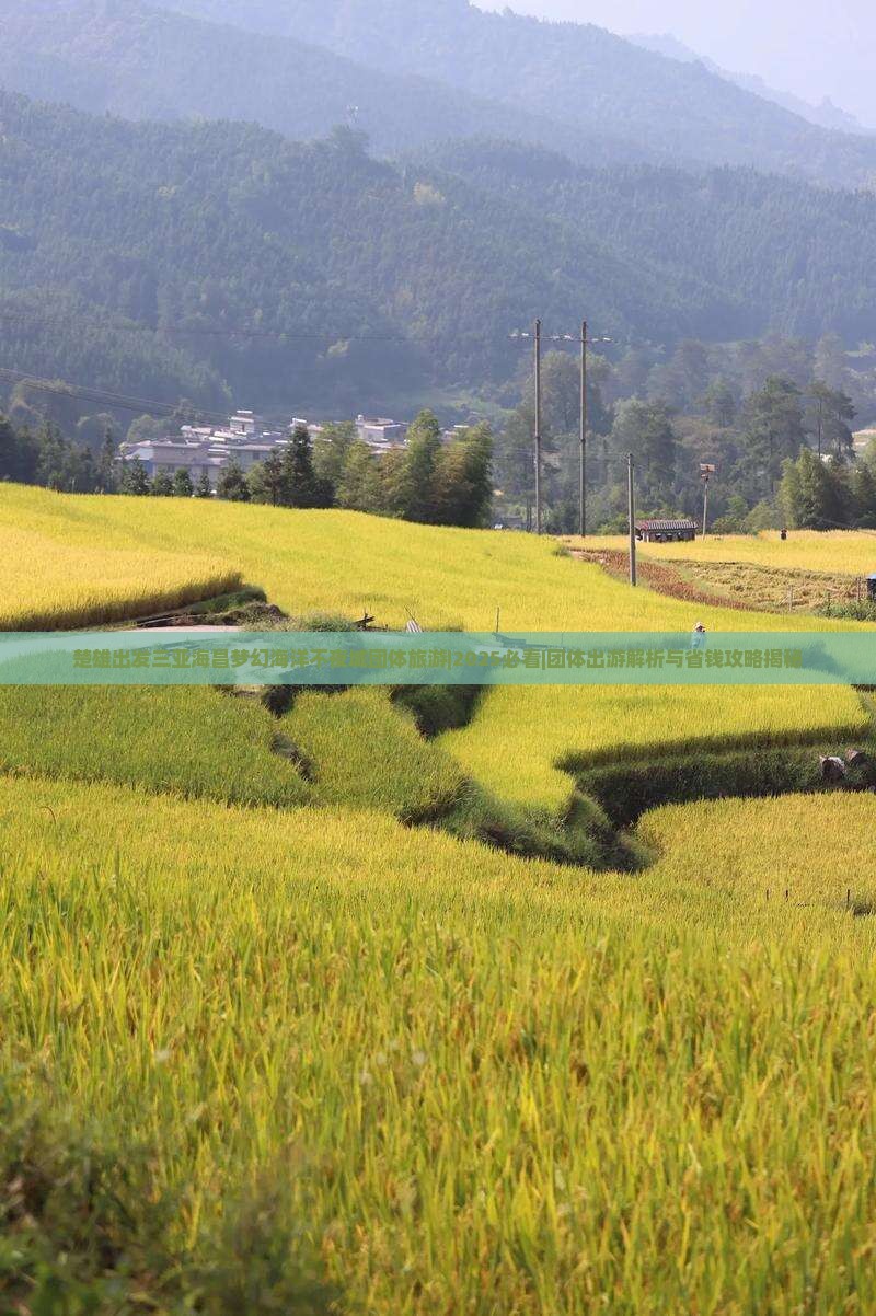 楚雄出发三亚海昌梦幻海洋不夜城团体旅游