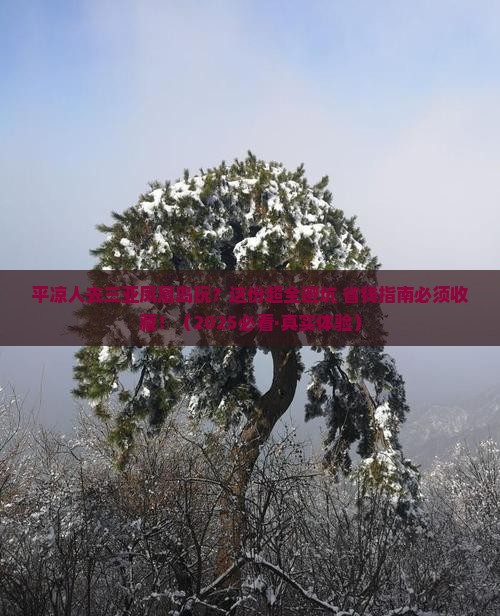 平凉去三亚凤凰岛攻略