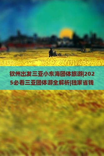 钦州出发三亚小东海团体旅游