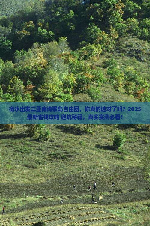 衡水出发三亚南湾猴岛自由团