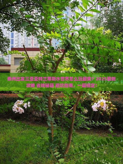 泰州出发三亚亚特兰蒂斯水世界哪里玩
