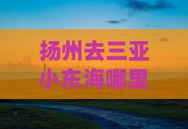 扬州去三亚小东海哪里玩