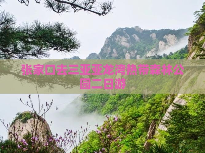 张家口去三亚亚龙湾热带森林公园二日游