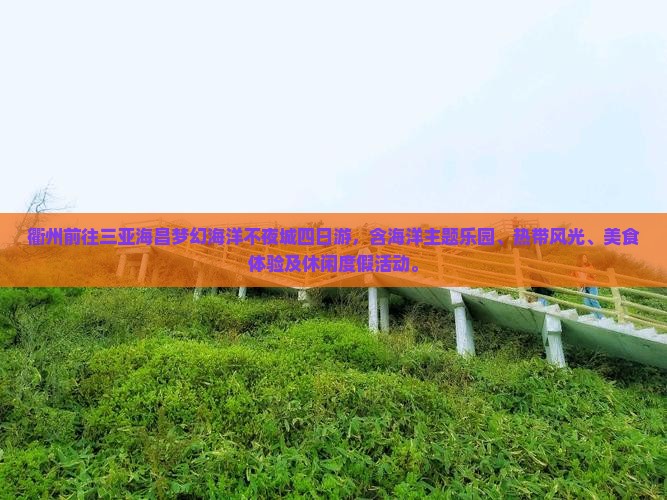 衢州前往三亚海昌梦幻海洋不夜城四日游