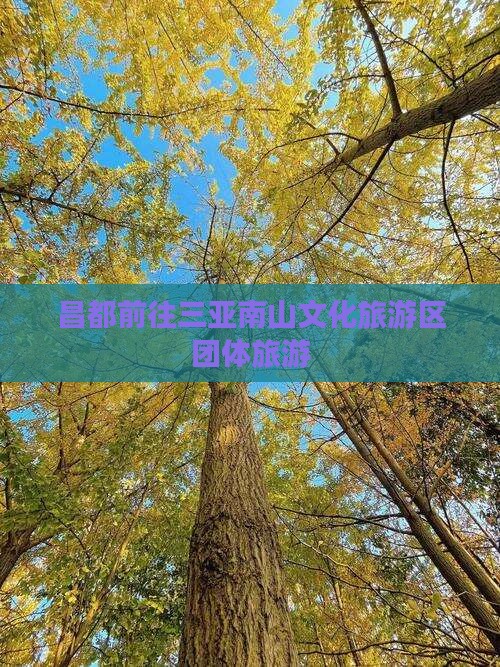 昌都前往三亚南山文化旅游区团体旅游