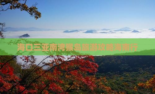 海口前往三亚南湾猴岛旅游