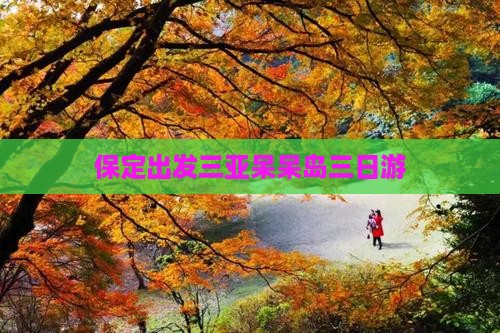 保定出发三亚呆呆岛三日游