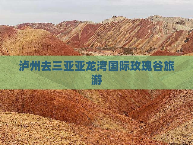 泸州去三亚亚龙湾国际玫瑰谷旅游