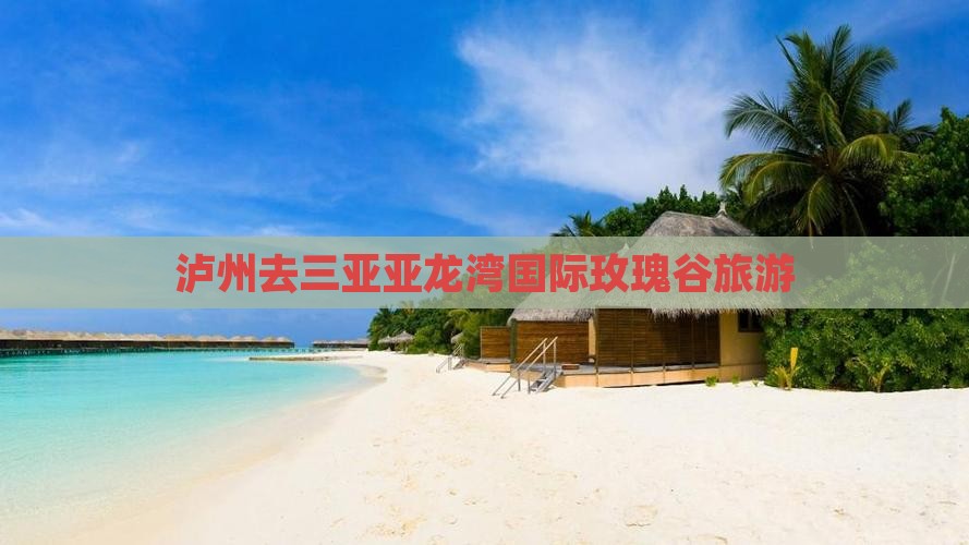 泸州去三亚亚龙湾国际玫瑰谷旅游