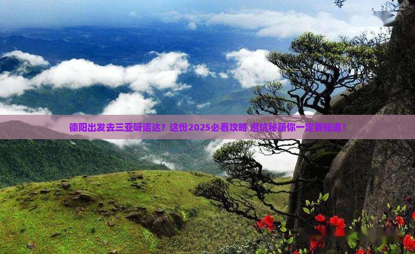 德阳出发三亚呀诺达景区旅行社