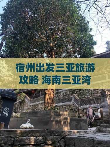 宿州出发三亚三亚湾哪里玩