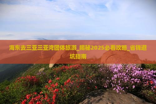 海东去三亚三亚湾团体旅游