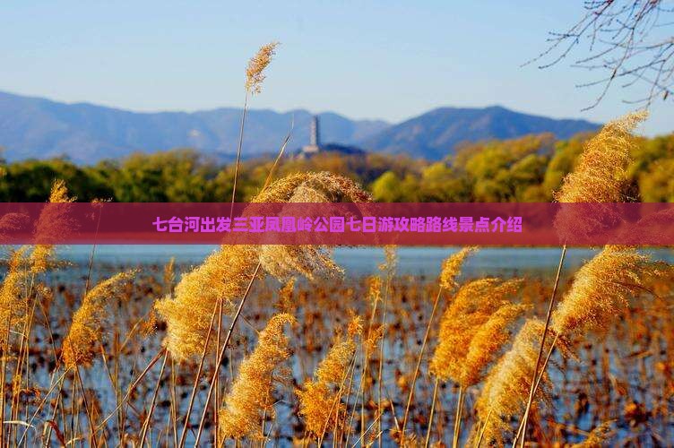 七台河出发三亚凤凰岭公园七日游