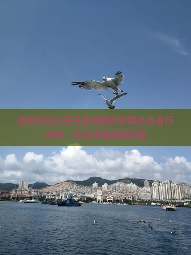 清远前往三亚亚龙湾国际玫瑰谷自由行