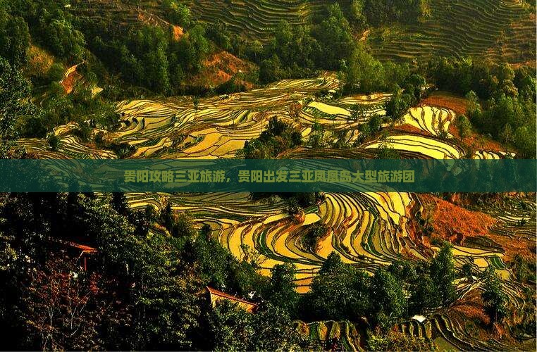 贵阳出发三亚凤凰岛大型旅游团 贵阳出发三亚凤凰岛大型旅游团