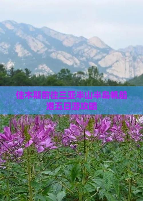 佳木斯前往三亚半山半岛帆船港五日游