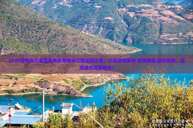 沧州去三亚亚龙湾热带森林公园旅游小吃