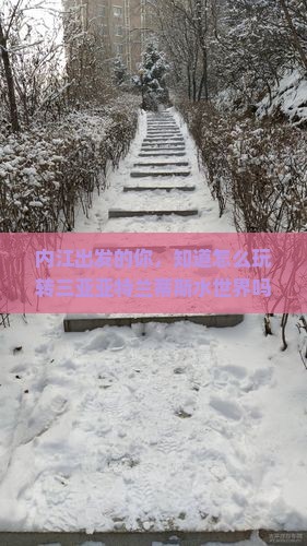 内江出发三亚亚特兰蒂斯水世界旅行社