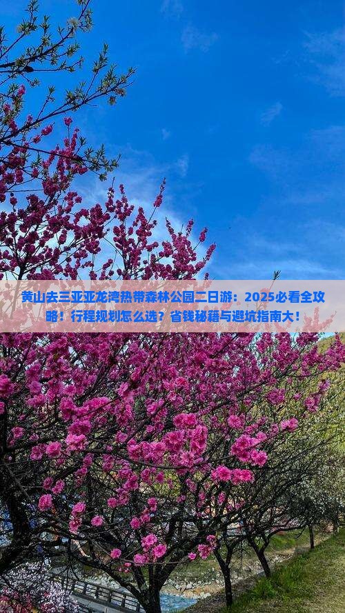 黄山去三亚亚龙湾热带森林公园二日游