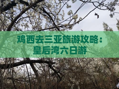 鸡西去三亚皇后湾六日游