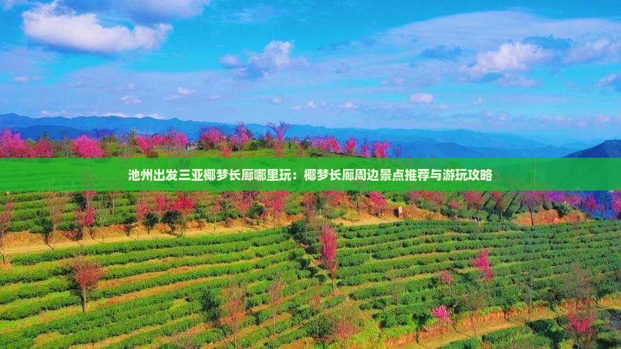 池州出发三亚椰梦长廊哪里玩