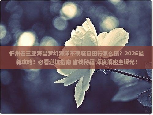 忻州去三亚海昌梦幻海洋不夜城自由行
