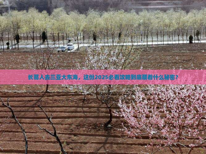 长葛前往三亚大东海旅行社