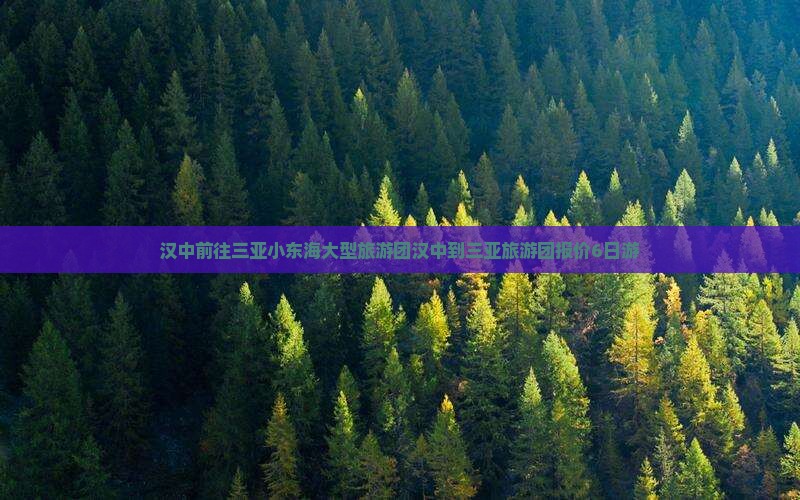 汉中前往三亚小东海大型旅游团