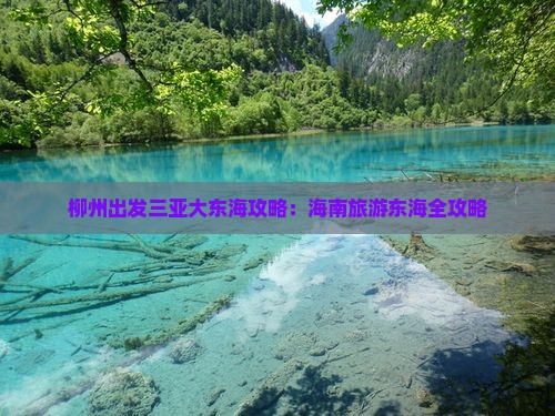 柳州前往三亚大东海团体旅游