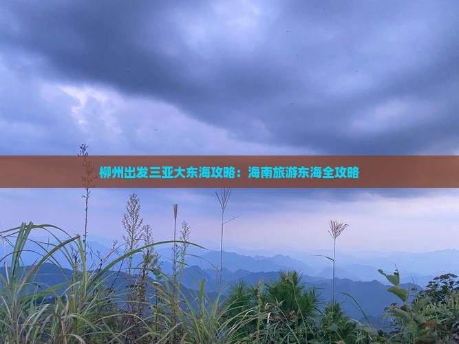 柳州前往三亚大东海团体旅游