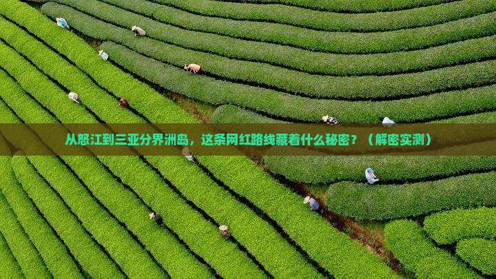 怒江前往三亚分界洲岛旅游网红地点