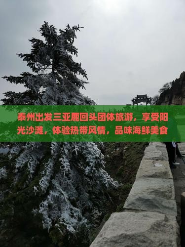 泰州出发三亚鹿回头团体旅游