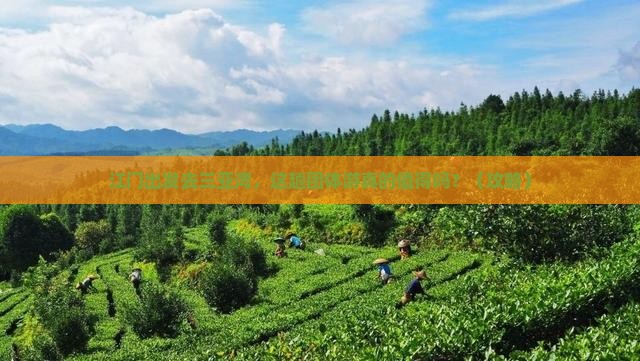 江门前往三亚三亚湾团体旅游