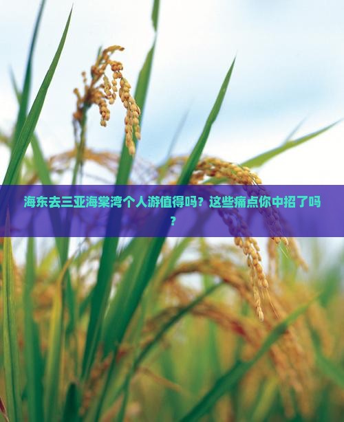 海东去三亚海棠湾个人游