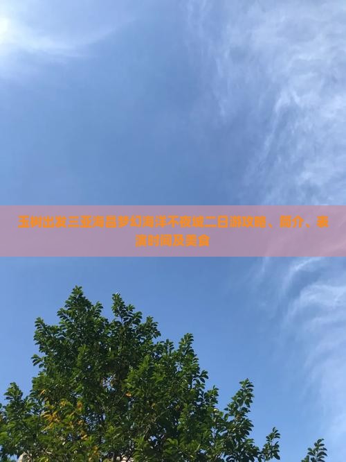 玉树出发三亚海昌梦幻海洋不夜城二日游