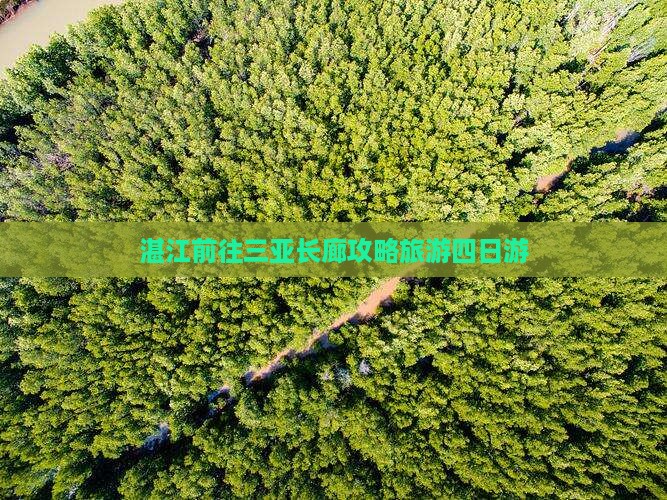 湛江前往三亚椰梦长廊四日游