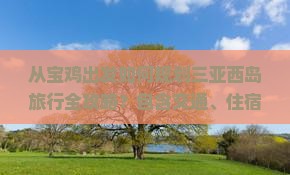 从宝鸡出发如何规划三亚西岛旅行全攻略？包含交通、住宿、美食及活动推荐