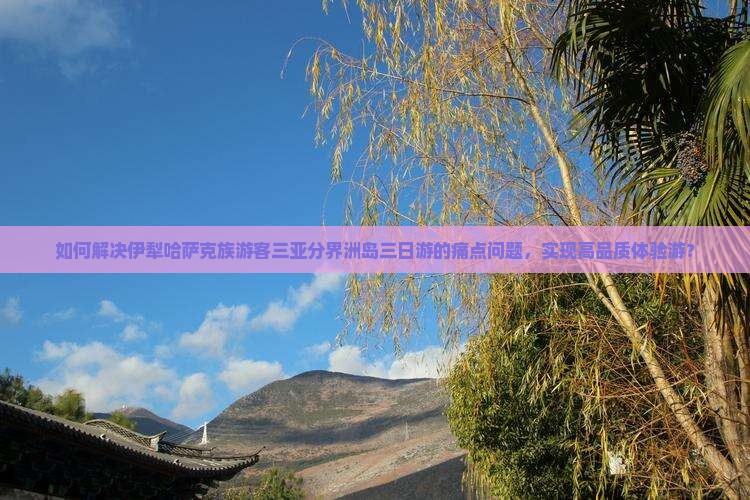 如何解决伊犁哈萨克族游客三亚分界洲岛三日游的痛点问题，实现高品质体验游？