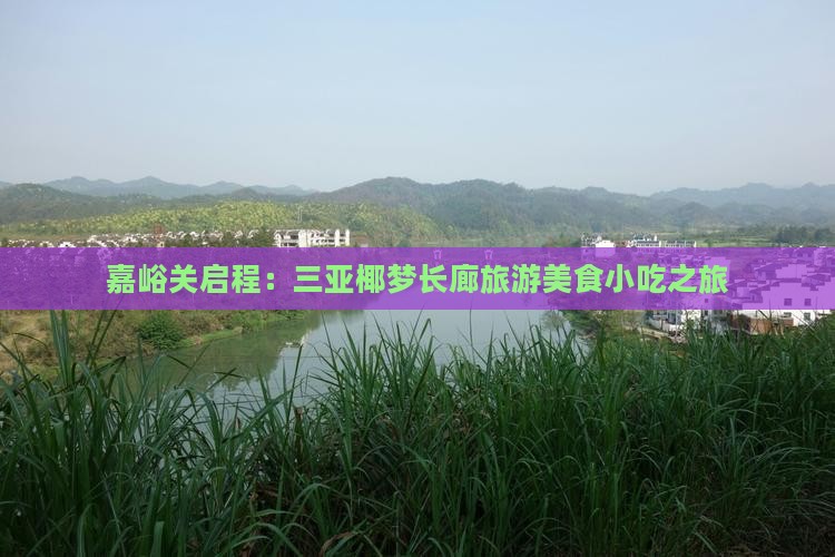 嘉峪关启程：三亚椰梦长廊旅游美食小吃之旅