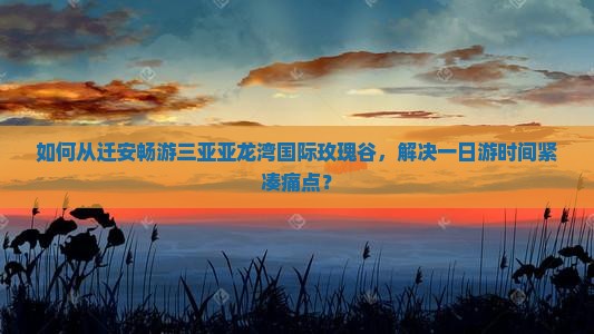 如何从迁安畅游三亚亚龙湾国际玫瑰谷，解决一日游时间紧凑痛点？