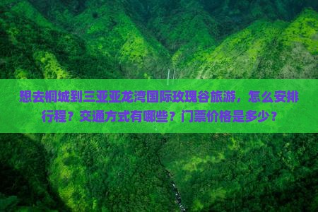想去桐城到三亚亚龙湾国际玫瑰谷旅游，怎么安排行程？交通方式有哪些？门票价格是多少？